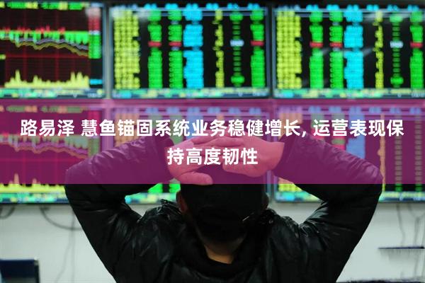 路易泽 慧鱼锚固系统业务稳健增长, 运营表现保持高度韧性